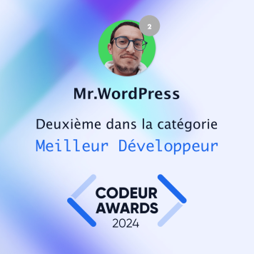 02---Deuxième-Meilleur-Développeur---MrWordPress